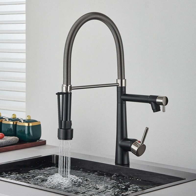 Belfry Kitchen Keneisha Pull Down Kitchen Faucet