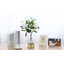 Clear/Gold 25cm Glass Table Vase