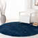 Sador Blue Area Rug