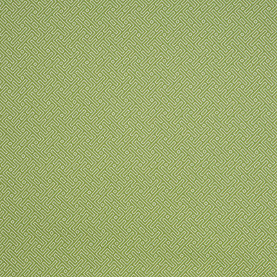 Holiday Cato Fabric