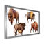 Bison exotique - Peinture sur toile-67407275-67407276