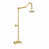 Polished Brass