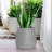 Pot Planter