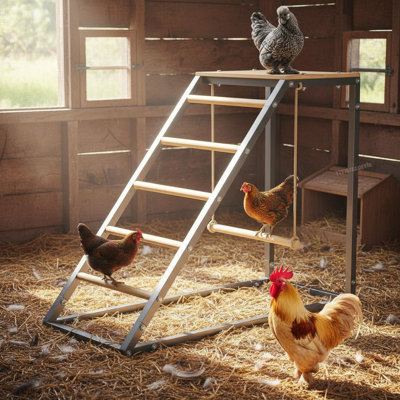 Perchoirs de perchoir pour poulailler durables - faciles à assembler et à nettoyer, échelle de perchoir pour volaille, canards, oies, pigeons, poulailler