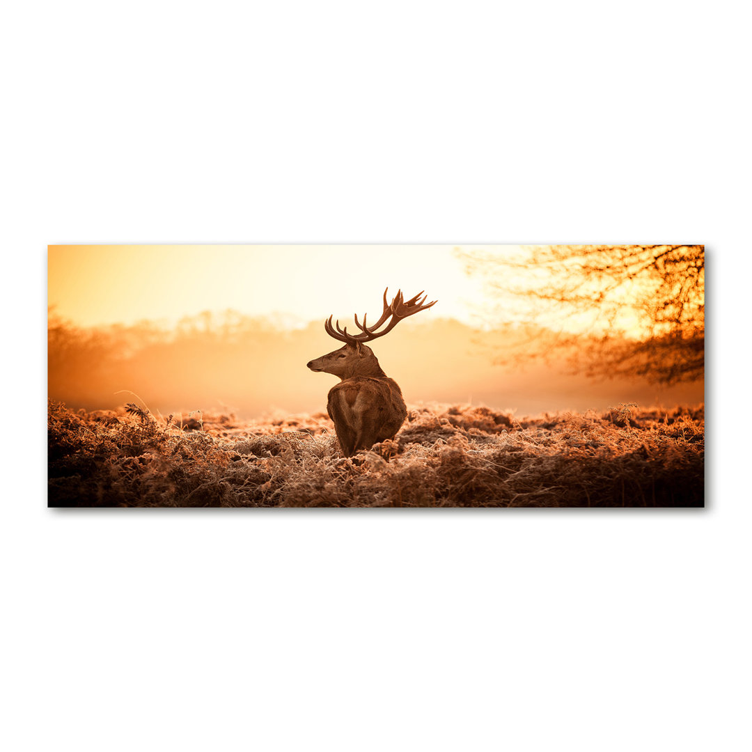 Deer Sunrise - Ungerahmte Kunstdrucke