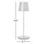 Nevis Accent Rechargeable Table Lamp-215806092