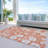  Machine Washable Indoor/Outdoor Chayden ACN1032 Rug-1070235576