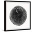 Mighty Trunk by Marmont Hill - Single Picture Frame Painting-1833983570