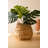  Water Hyacinth Basket with Two Handles