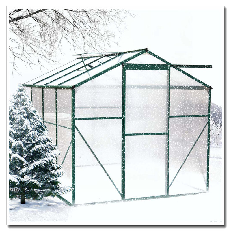 Serre en polycarbonate, serre de jardin robuste 6 pi x 8 pi pour jardin / extérieur