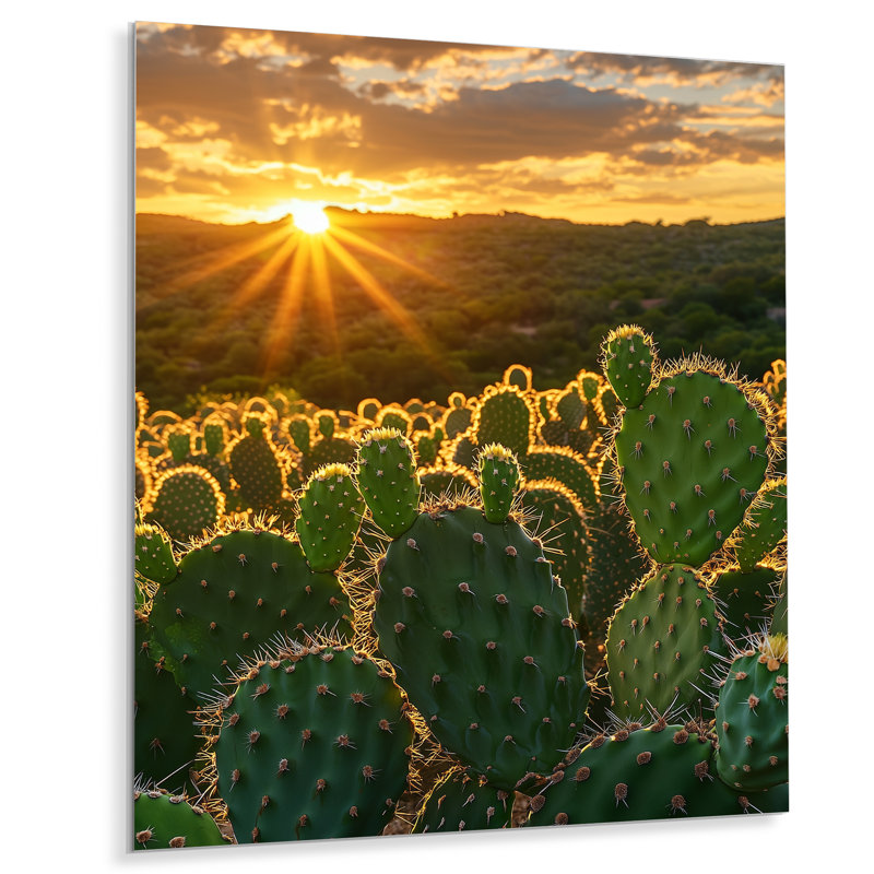 Cactus dans la lumière du matin III - Cactus grand, art mural en métal, H 40 po x l 30 po
