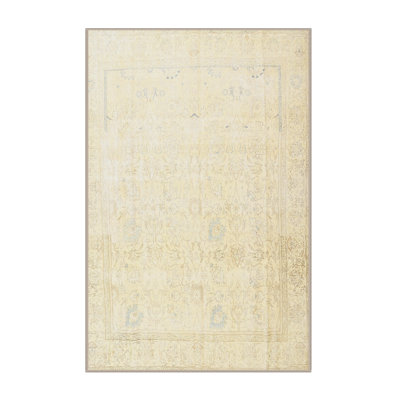 Anneliese Oriental Indoor Rug