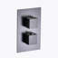 Devon Thermostatic 2-3 Way Shower Mixer - Wall Mount - 6" Brass/Matt Black