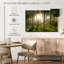 Birch Forest Sunlight-1269280479-1269280478