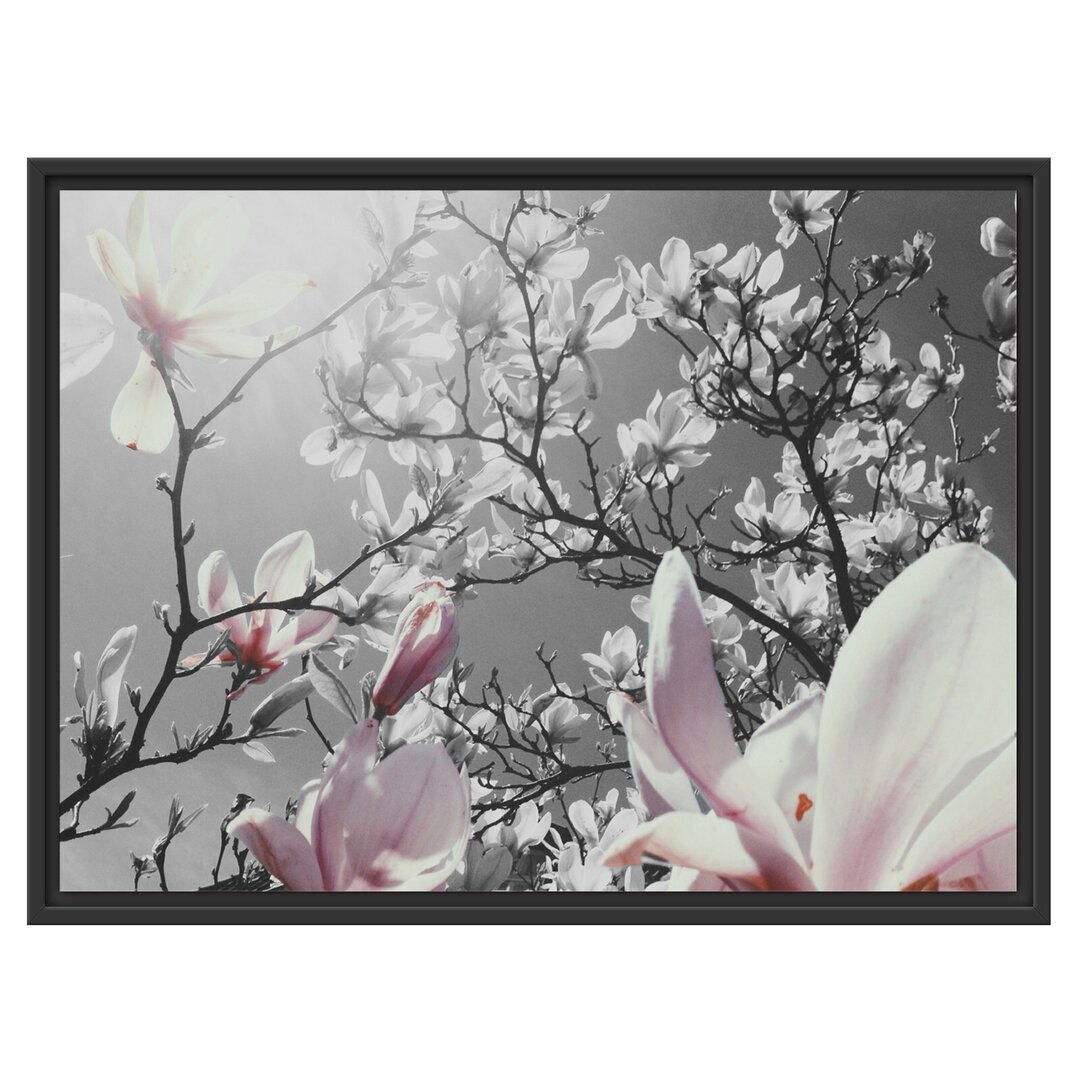 Gerahmtes Wandbild schöne Magnolie Blüten