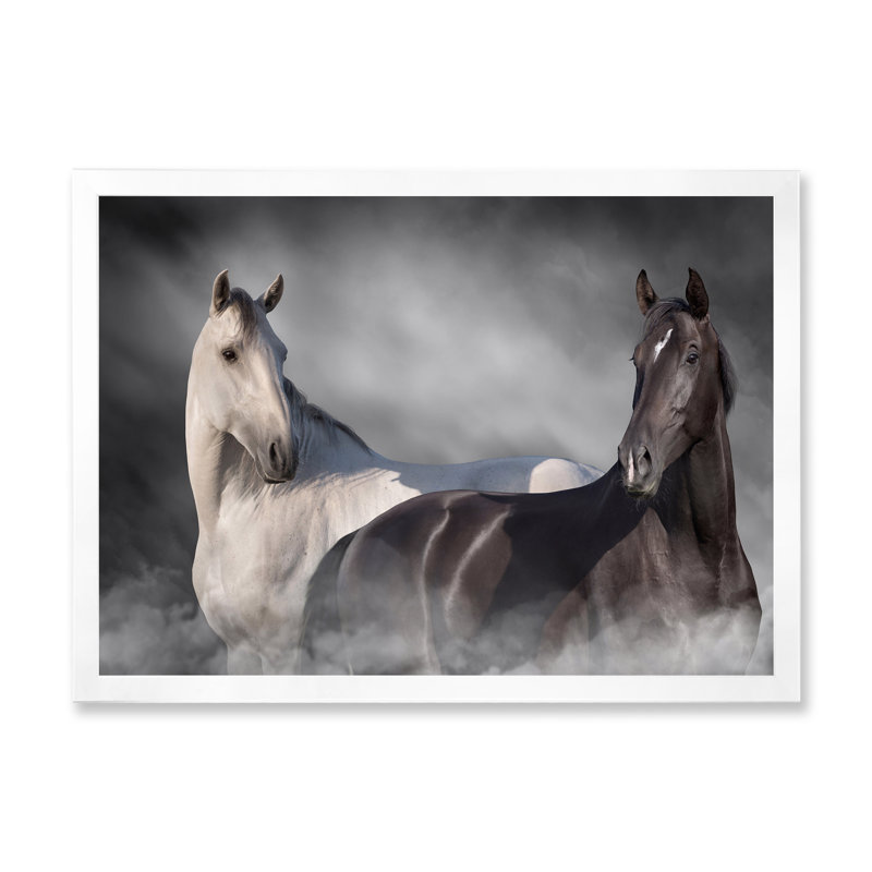 «Black and White Horse Close Up Portrait II», reproduction sur toile, H 12 po x l 20 po x P 1 po, Cadre photo blanc