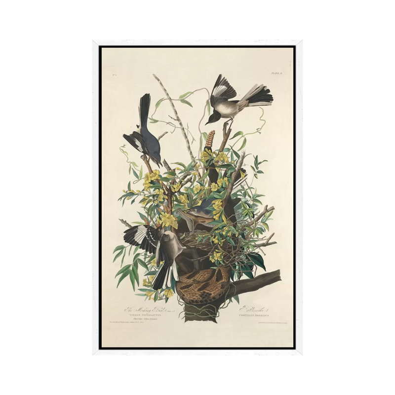 The Mocking Bird, 1827 by John Audubon - Painting on Canvas, 101.6cm H x 66.04cm W x 3.81cm D, White Framed