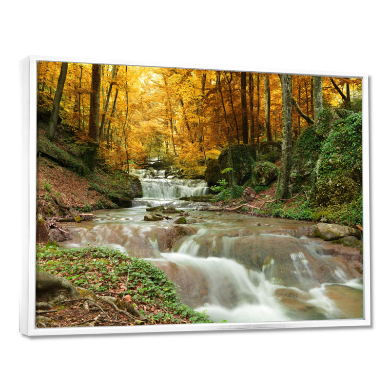 Forêt, cascade, arbres jaunes - reproduction de photo, H 30 po x l 40 po, Cadre flottant, Blanc