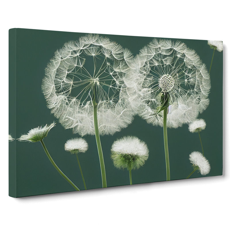 Blooming Dandelion Flowers - Wrapped Canvas, 50cm H x 76cm W x 3cm D
