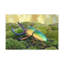 Art mural majestueux coccinelle-992651353