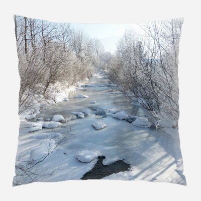 Canvas Outdoor Reversible Throw Pillow