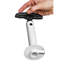 Belfry Kitchen Starr Corer