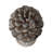 Set Of 2 Pinecone Table Decor, Small: D7x10.5", Large: D7x14"