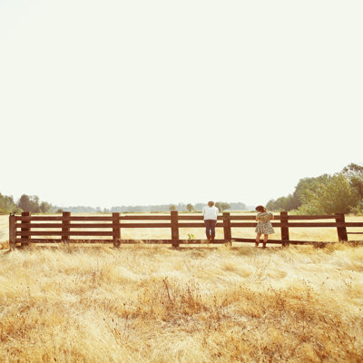 " Fence Standing " by Kevin Russ