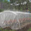 Greenhouse Replacement Cover