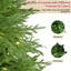 Sapin de Noël pré-éclairé Noble-2054218757