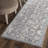 Valencia Performance Oriental Rug-217155064