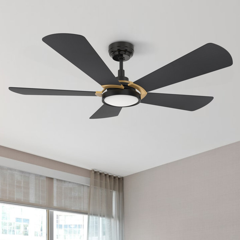 Ventilateur de plafond extérieur noir avec lumière, H 14,3 po x l 56 po