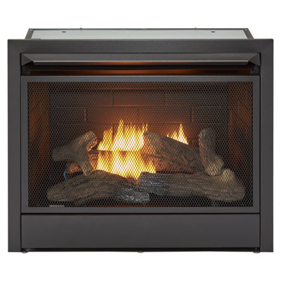 Duluth Forge Dual Fuel Ventless Gas Fireplace Insert - 26,000 BTU, T-Stat Control - Model# FDF300T