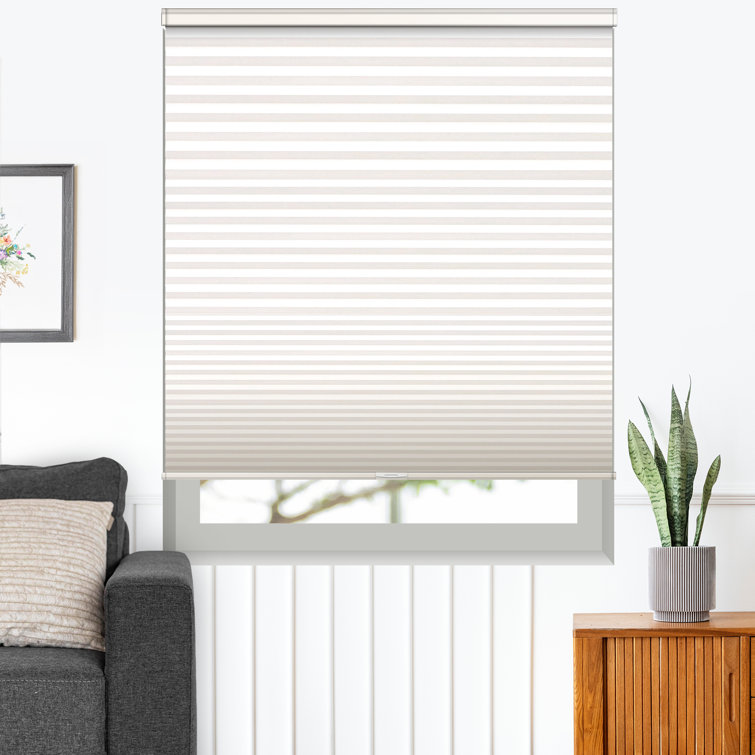 Store cellulaire sans chaîne filtrant la lumière