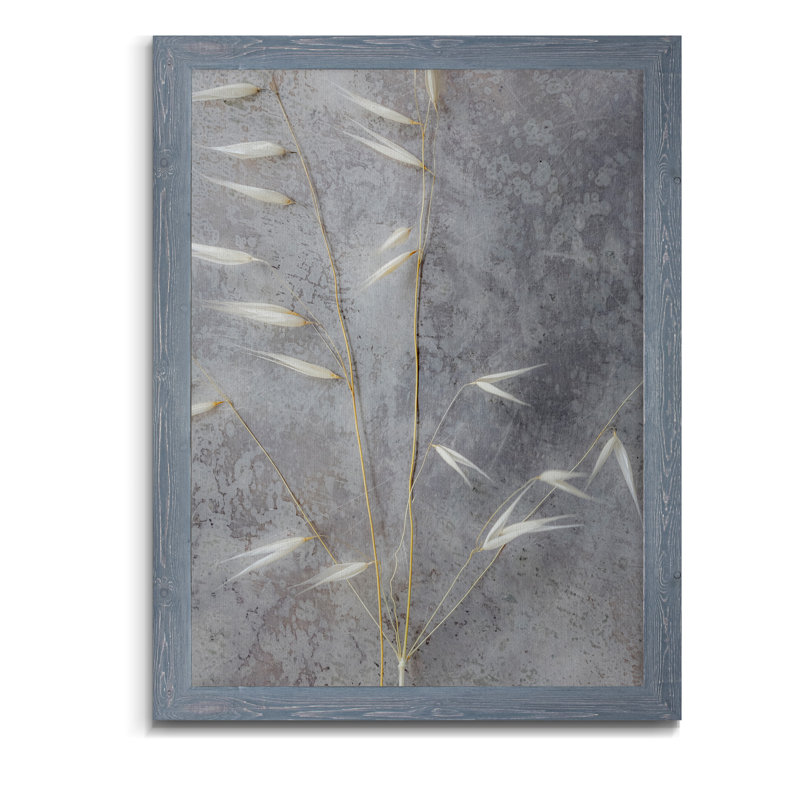« moonlit rêve iii »-cadre photo, reproduction d’art, Toile avec cadre gris, H 44 po x l 32 po x P 1,25 po, Pas de tapis