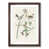 Walnut Framed selected