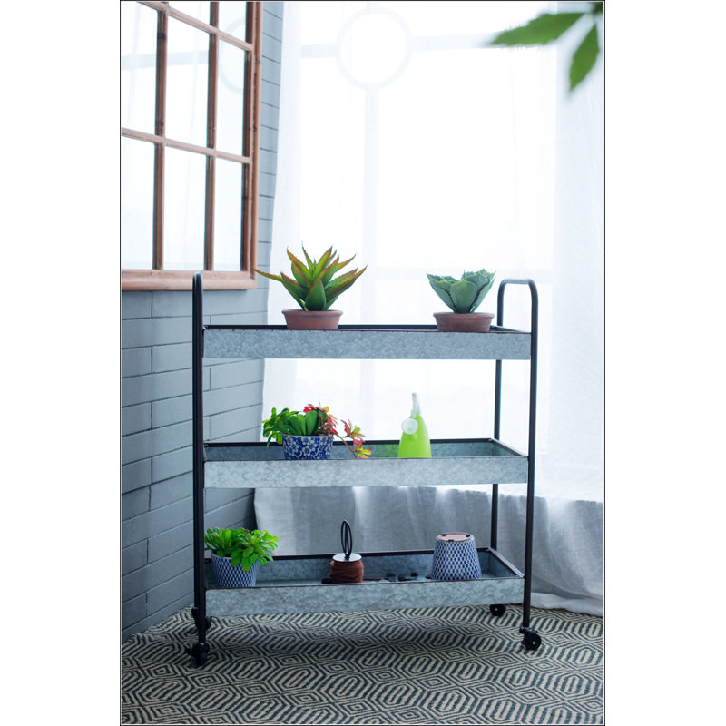 Présentoir de tablettes galvanisées 35 x 12,5 x 40 po à 3 niveaux