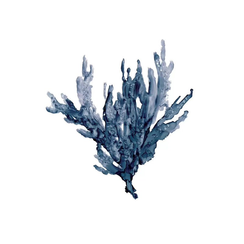 Sea Coral I by Carol Robinson - Wrapped Canvas Print, 45.72 cm H x 45.72 cm W x 3.175 cm D