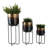 Planters On Stands Metal Iron Modern Design Indoor Outdoor Home Garden Use Set Of 3 - 27", 20", 15" Gold, Black, Gunmetal-1083056158