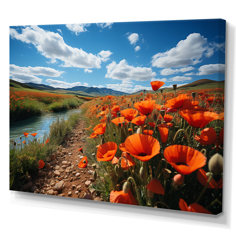 Kolette, Espagne, champs de coquelicots sur toile, H 16 po x l 32 po x P 1 po, Toile tendue