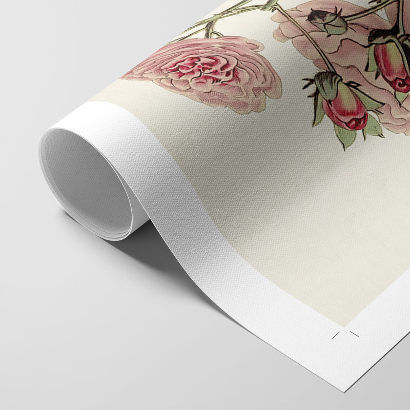 Mélange de fleurs roses en V - impression sur toile seulement - non encadrée, H 36 po x l 24 po