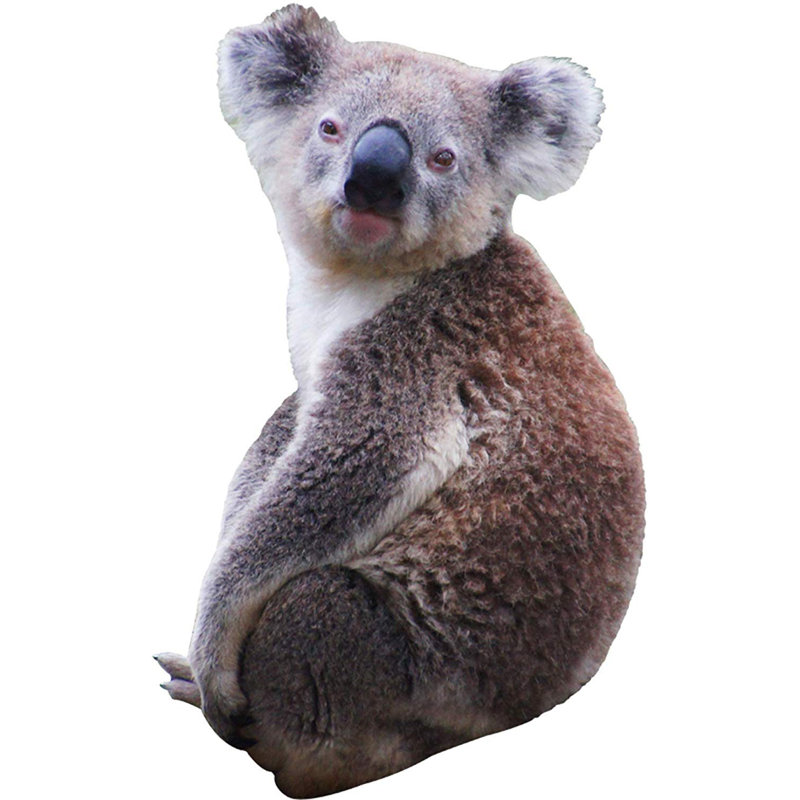 Adhésif décoratif koala ours pour animaux en vinyle, H 58 po x l 36 po