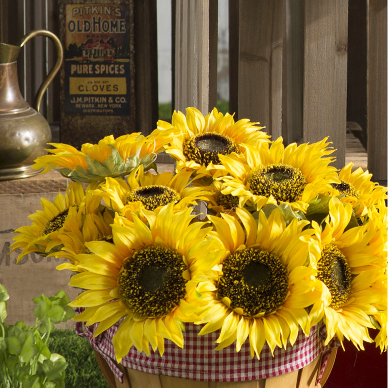 Tige de tournesol pleine floraison, H 18 po x l 10 po x P 10 po