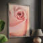 «Soft Flower Petals III», reproduction encadrée - bois massif-877828158