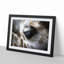 Face of a Giraffe - Picture Frame Graphic Art Print-55726706-55726705