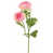 Rose est en rupture de stock