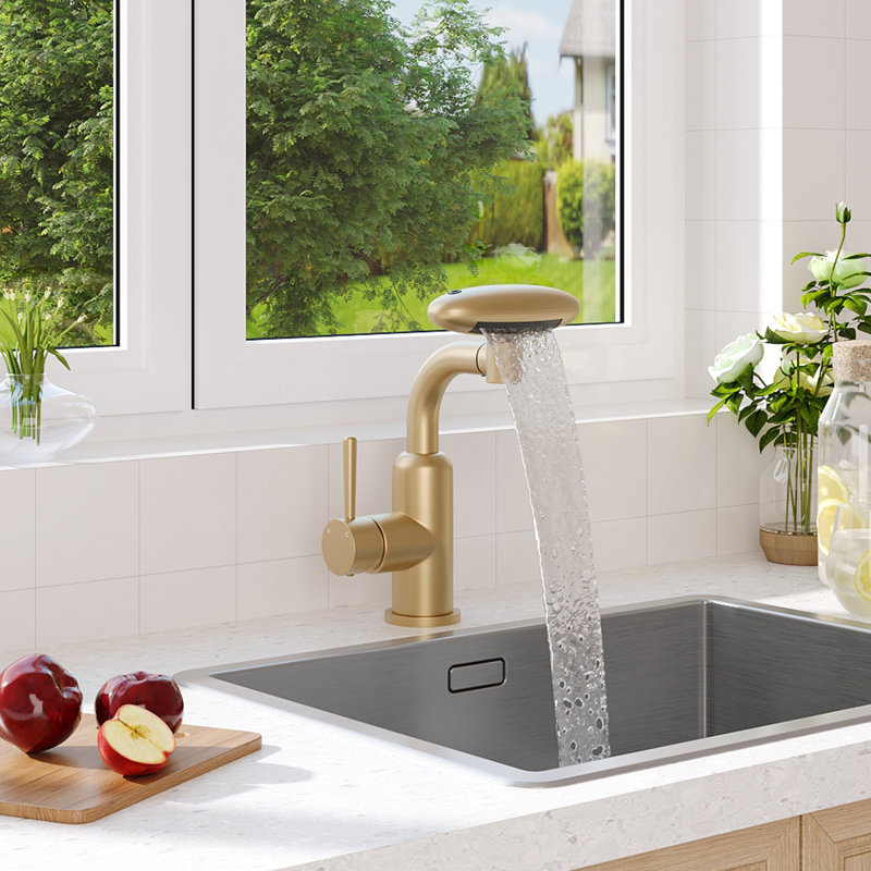Pull-out Sprayer Retractable Kitchen Faucet with 4 Modes
