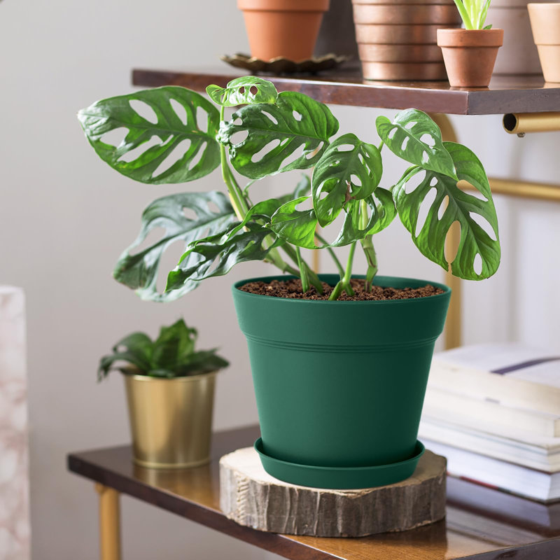 Nursery Pot, Blue