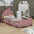 Alafia Upholstered Platform Bed-2071542106