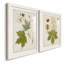Antique Leaves VII - ensemble de 2 reproductions d'art sur papier encadré-65367038-65367039
